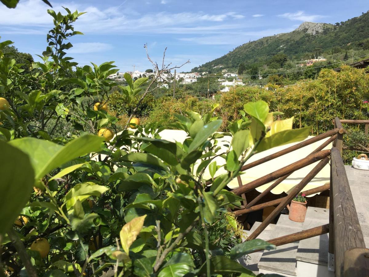 Relais Villa Anna Anacapri  Zewnętrze zdjęcie